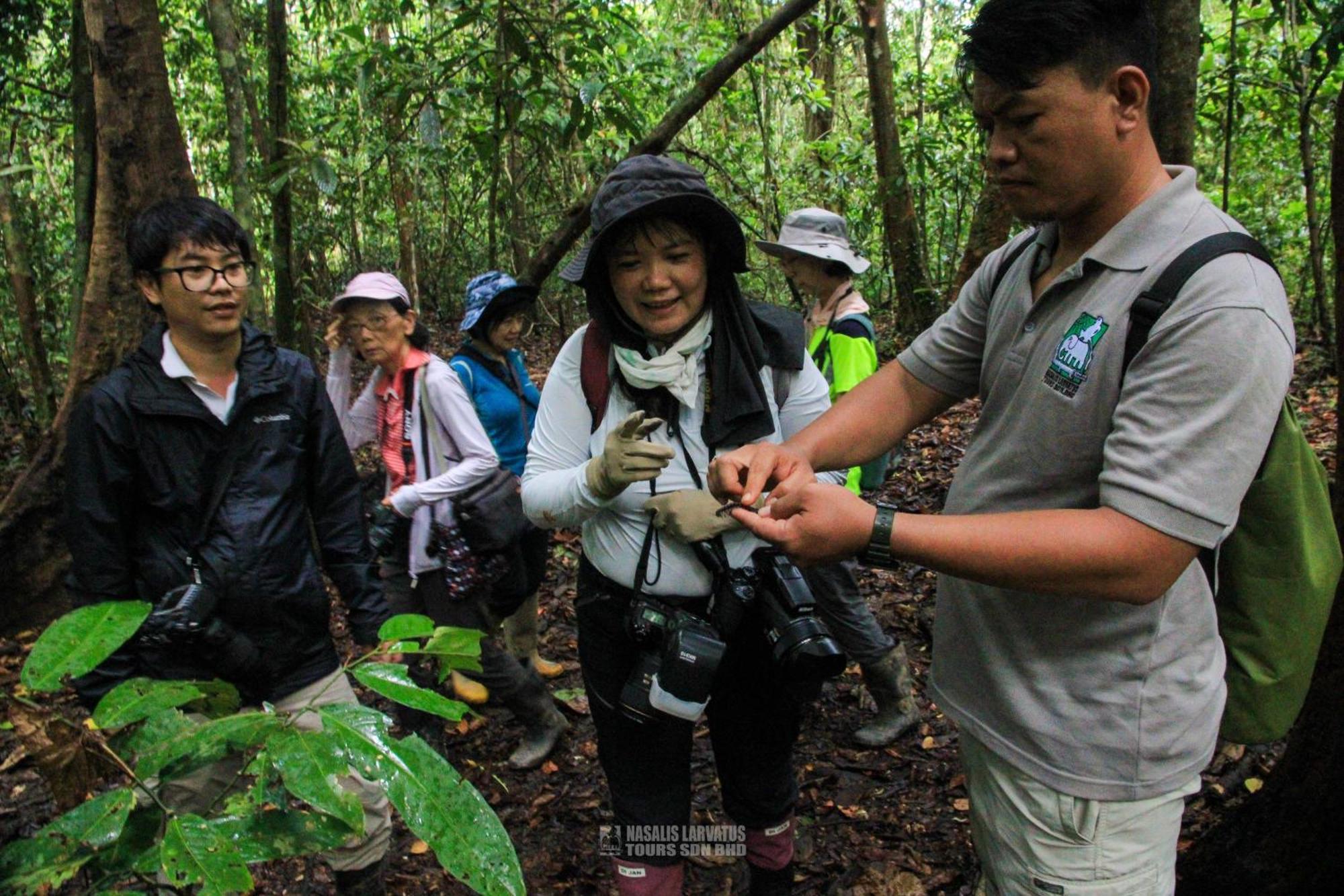 Tanini Kinabatangan Formerly Known As Nature Lodge Kinabatangan Bilit Екстериор снимка