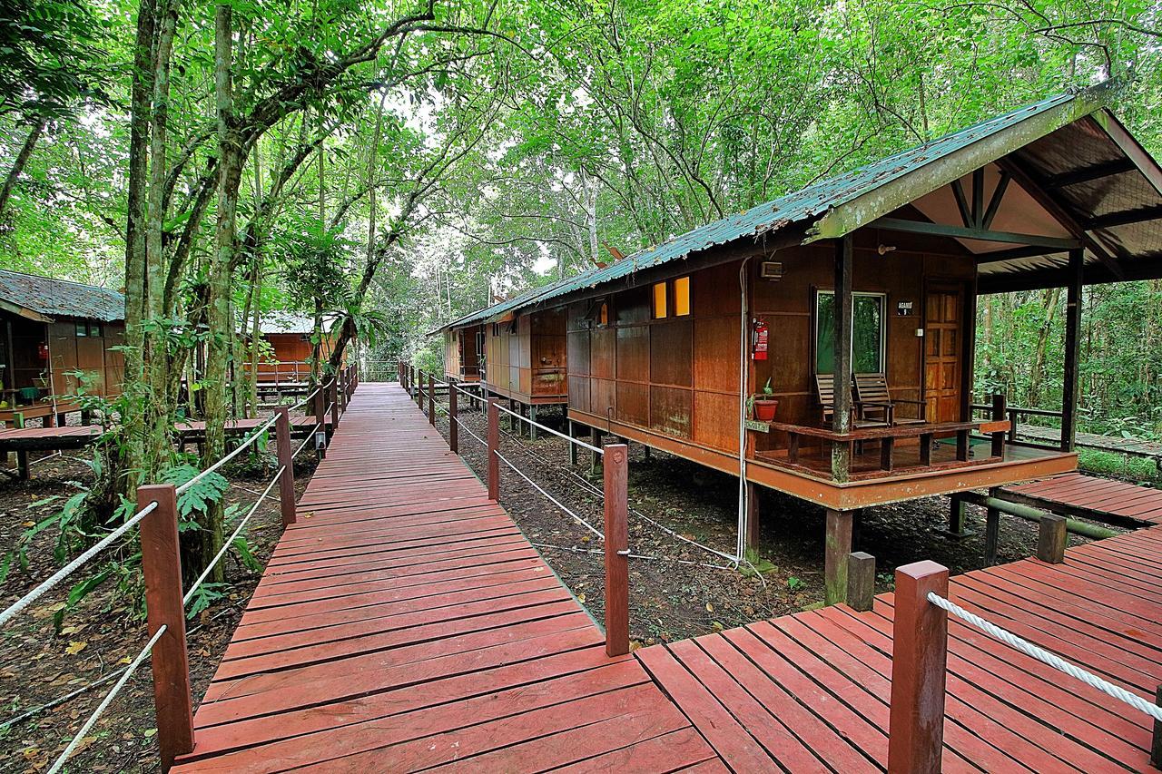Tanini Kinabatangan Formerly Known As Nature Lodge Kinabatangan Bilit Екстериор снимка